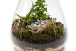 Load image into Gallery viewer, Wooden Lid Belly Vase Terrarium

