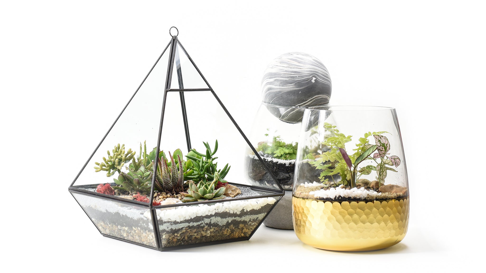 5 Ways To Care For Your Terrarium