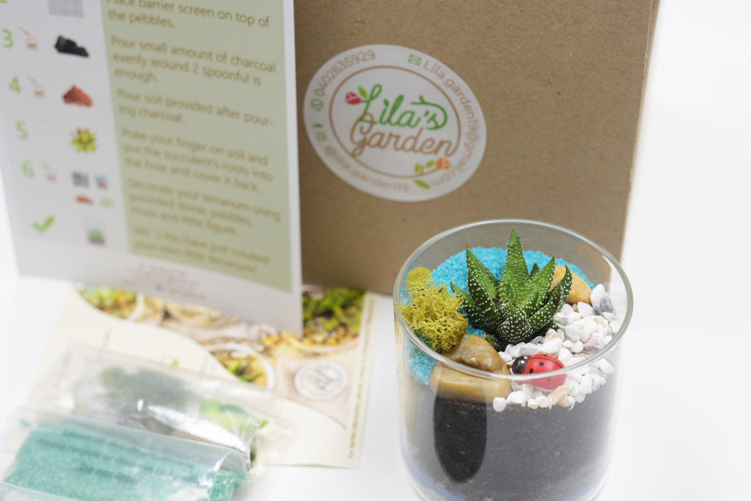 Kid's DIY Terrarium Kit