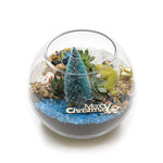 Load image into Gallery viewer, DIY Kit Christmas Succulent Terrarium
