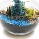 Load image into Gallery viewer, DIY Kit Christmas Succulent Terrarium
