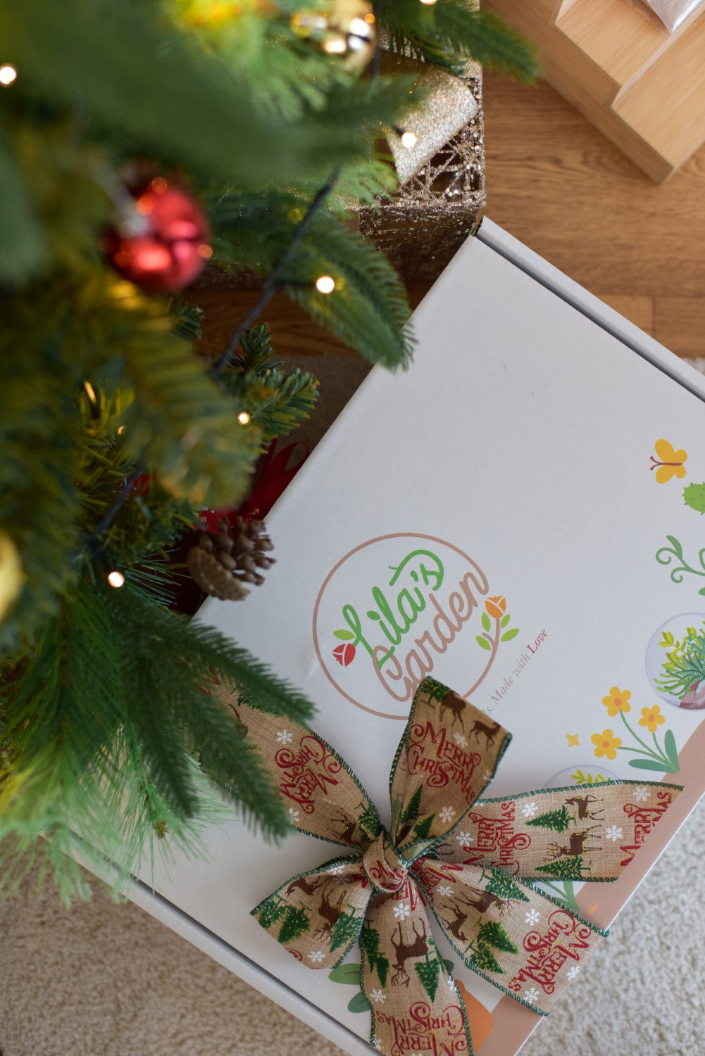 Mindfulness Terrarium DIY Kit Plant Hamper with Wine and Aromatherapy