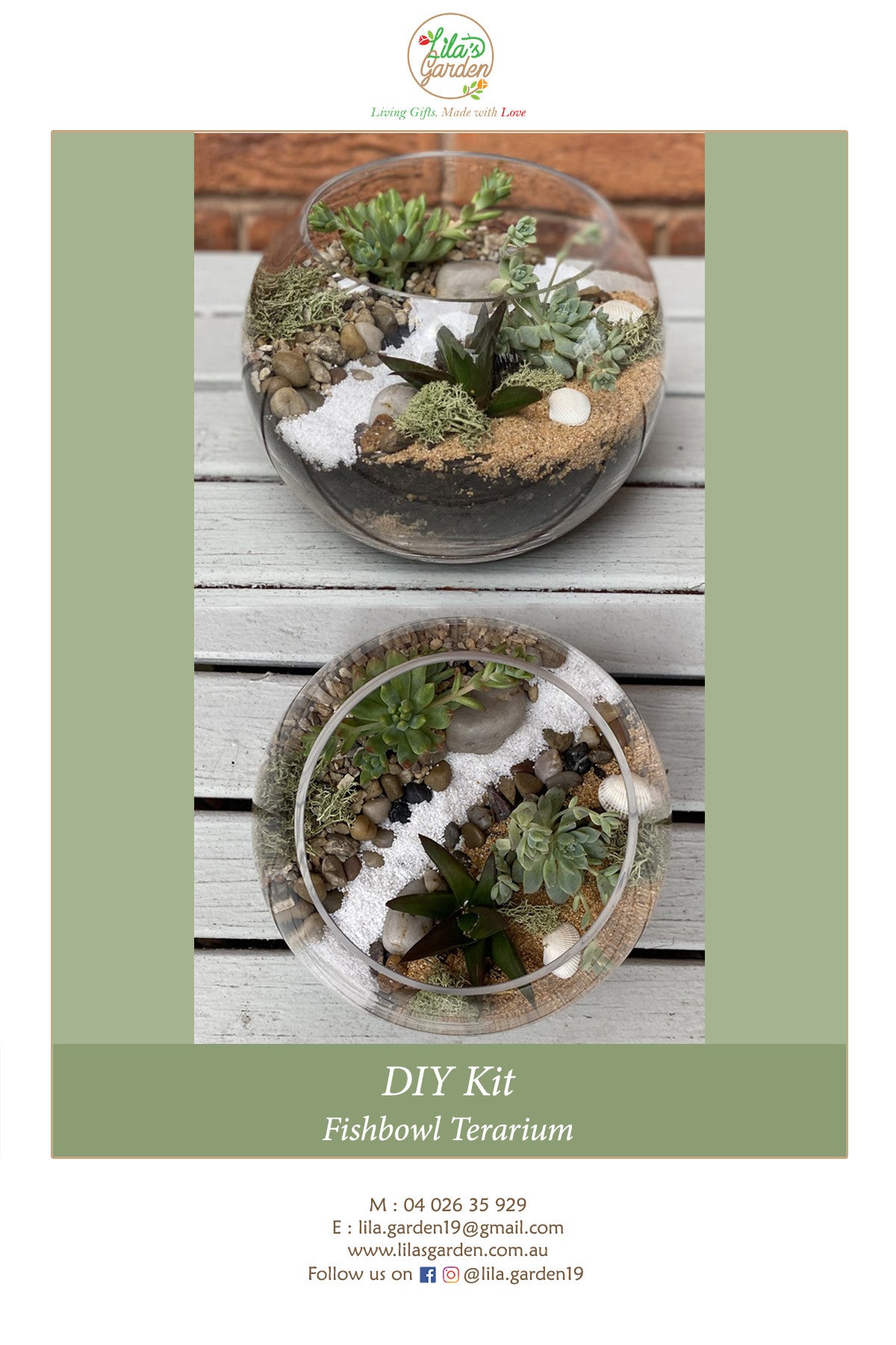 DIY Kit- Medium Fishbowl Succulent Terrarium