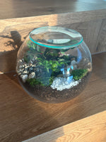 Load image into Gallery viewer, DIY Kit- Fishbowl Forest Closed Terrarium
