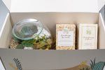 Load image into Gallery viewer, Forest Closed Terrarium Hamper with Aromatherapy - Trinity 2
