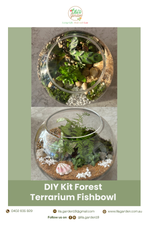 Load image into Gallery viewer, DIY Kit- Fishbowl Forest Closed Terrarium
