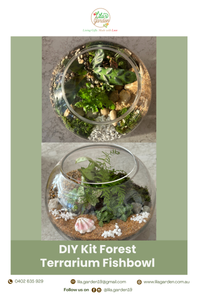 DIY Kit- Fishbowl Forest Closed Terrarium