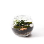 Load image into Gallery viewer, Forest Small Fishbowl
