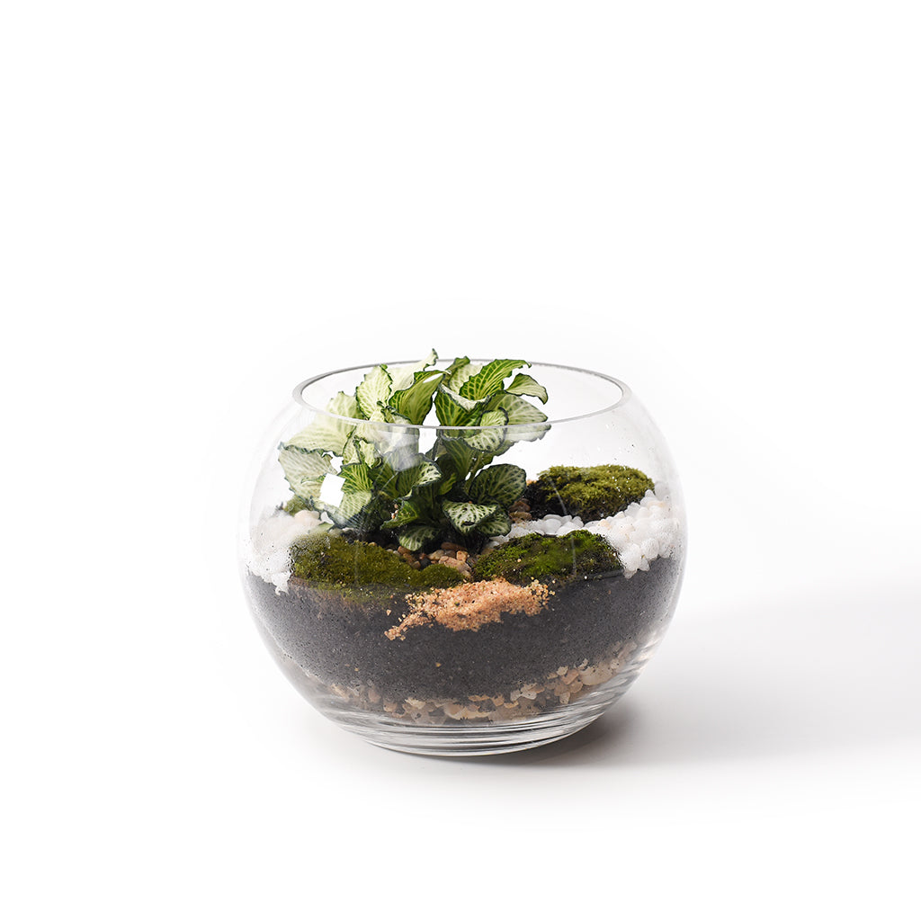Forest Small Fishbowl
