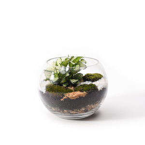 Forest Small Fishbowl