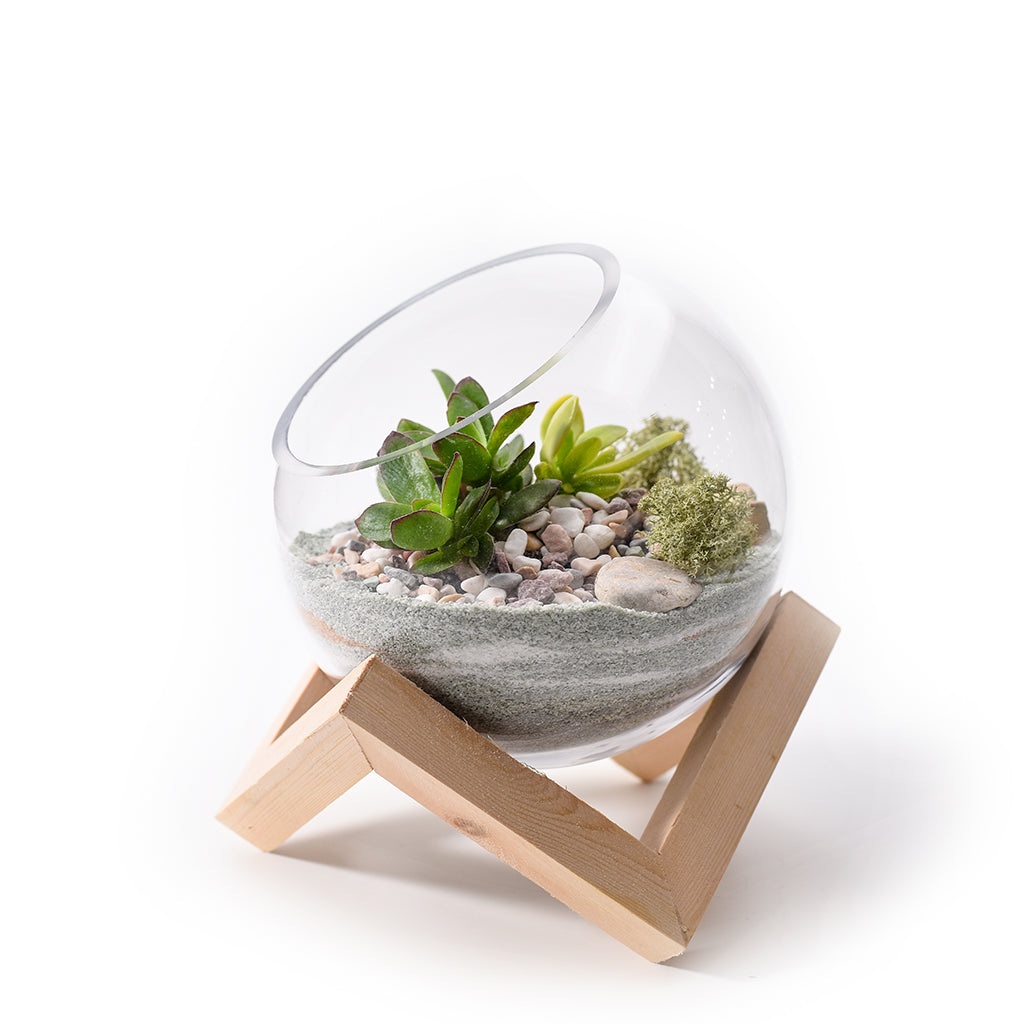 Wooden Cubic Stand Glass Bowl