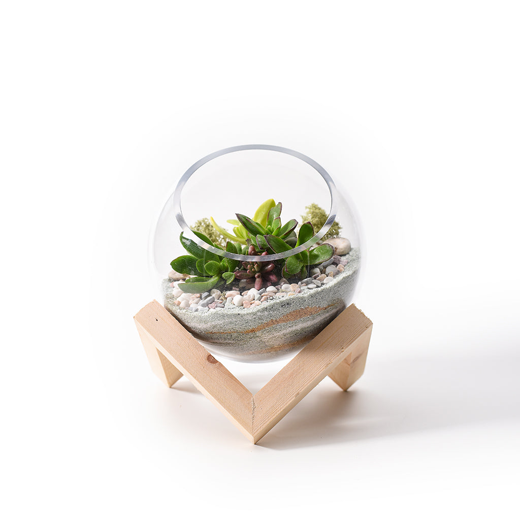 Wooden Cubic Stand Glass Bowl