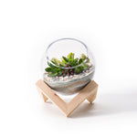 Load image into Gallery viewer, Wooden Cubic Stand Glass Bowl
