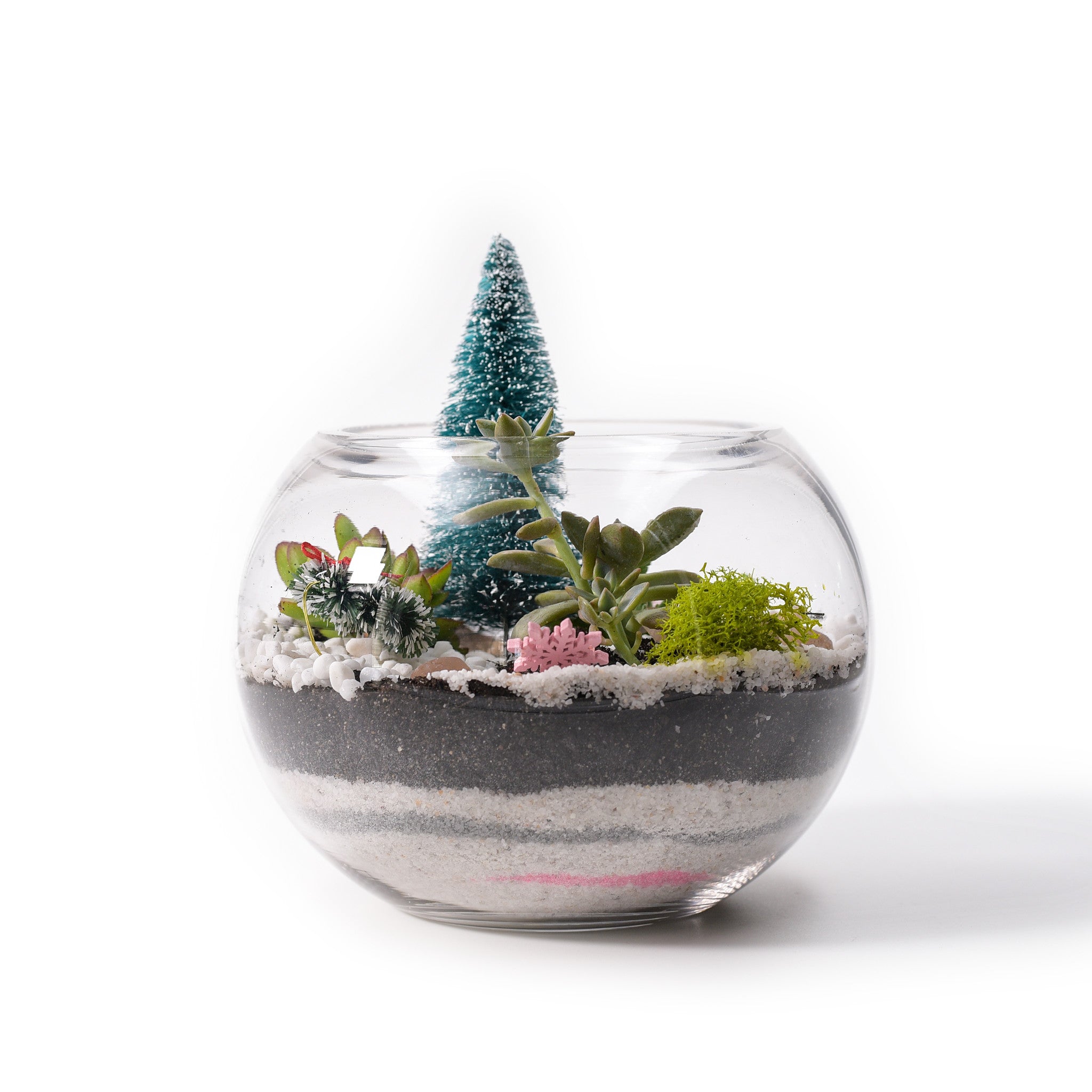 Christmas Edition - Large Fishbowl