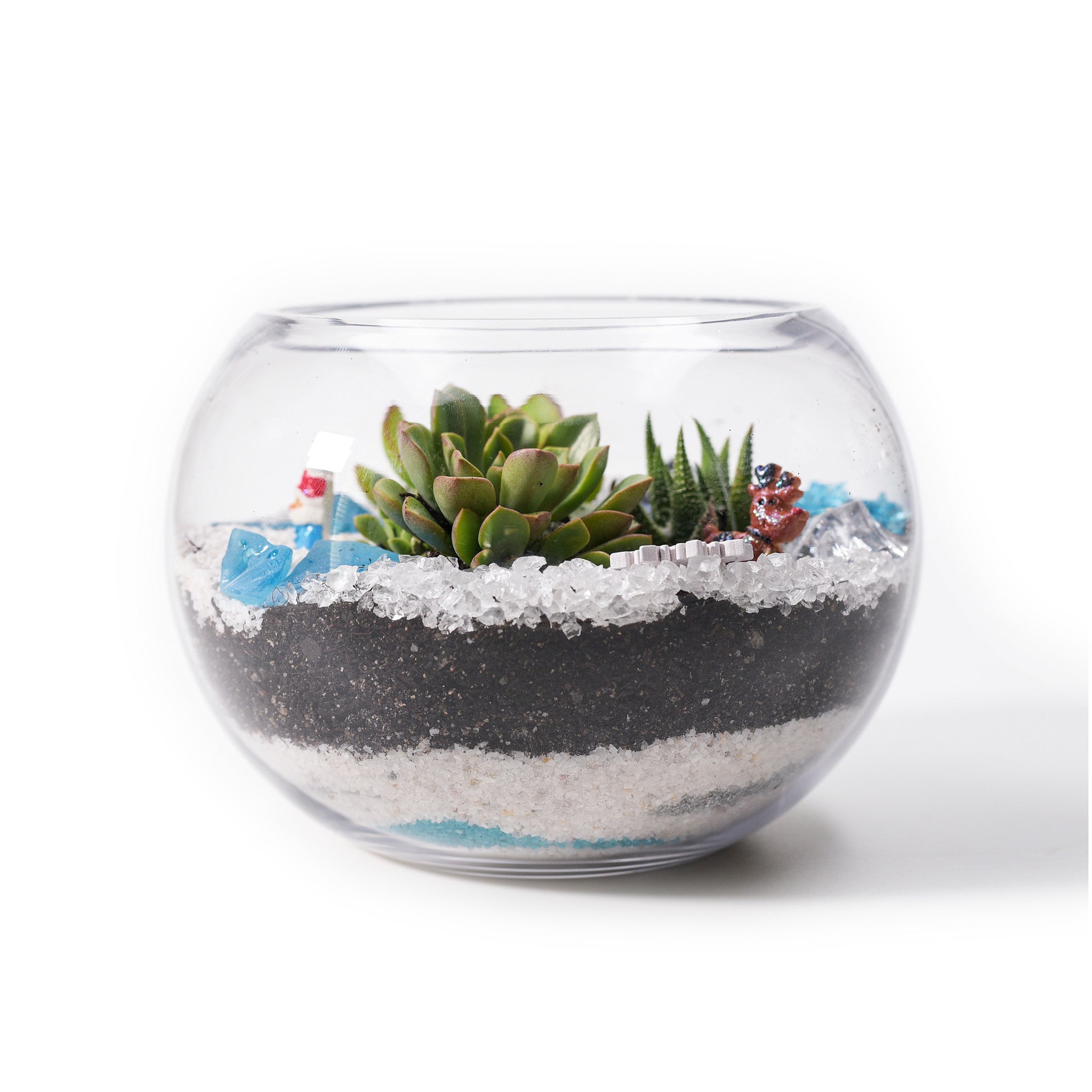 Christmas Edition - Small Fishbowl