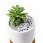 Load image into Gallery viewer, Wooden Leg Succulent Pot
