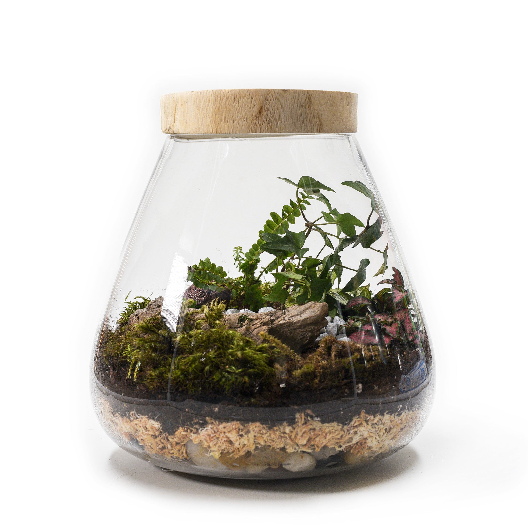 Lila's Garden - Closed Terrarium Online Sydney