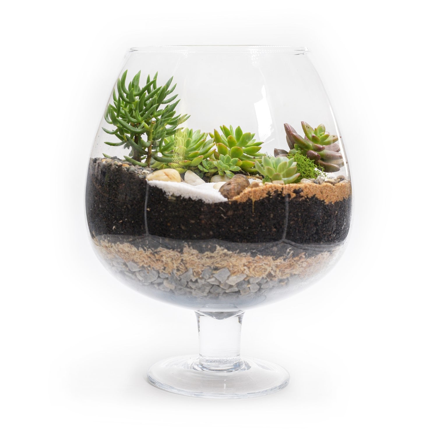 Brandy Balloon Vase Terrarium