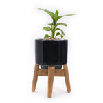 Load image into Gallery viewer, Wooden Leg Succulent Pot
