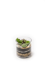 Load image into Gallery viewer, Cylinder Succulent Terrarium

