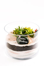 Load image into Gallery viewer, Christmas Edition – Glass Cylinder Terrarium

