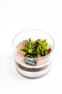 Christmas Edition – Glass Cylinder Terrarium