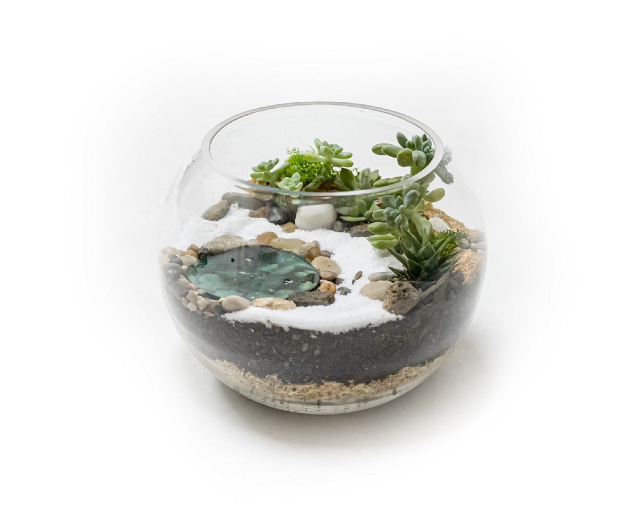 Water Featured Succulent Large Bowl with Mini Pond