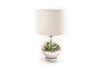 Load image into Gallery viewer, Air Plants in a Lamp
