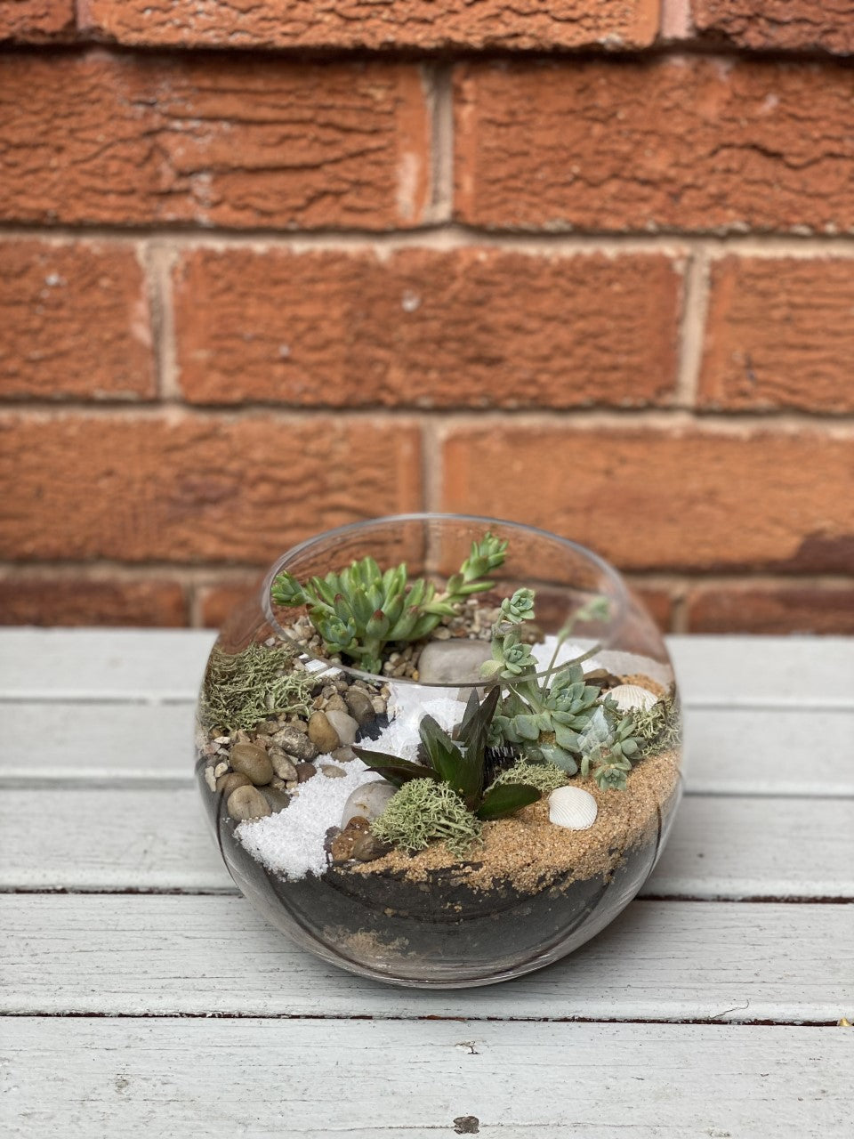 DIY - Medium Fishbowl Succulent Terrarium