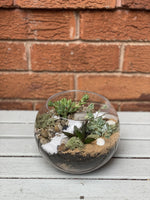 Load image into Gallery viewer, DIY - Medium Fishbowl Succulent Terrarium
