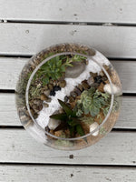 Load image into Gallery viewer, DIY - Medium Fishbowl Succulent Terrarium

