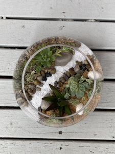 DIY - Medium Fishbowl Succulent Terrarium
