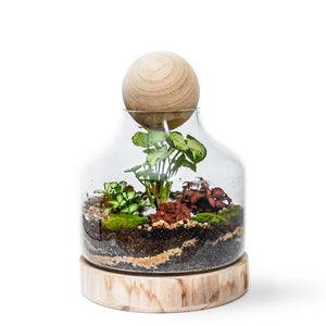 Lila's Garden - Closed Terrarium Online Sydney