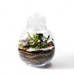 Load image into Gallery viewer, Forest Flexi Lid Glass Round
