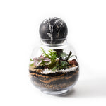 Load image into Gallery viewer, Forest Flexi Lid Glass Round
