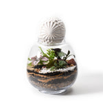Load image into Gallery viewer, Forest Flexi Lid Glass Round
