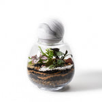 Load image into Gallery viewer, Forest Flexi Lid Glass Round
