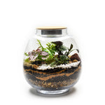 Load image into Gallery viewer, Forest Flexi Lid Glass Round
