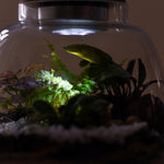 Load image into Gallery viewer, Forest Flexi Lid Glass Round
