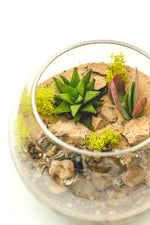 Load image into Gallery viewer, Water Featured - Small Fishbowl
