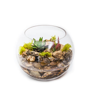 Water Featured - Small Fishbowl