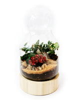 Load image into Gallery viewer, Lila's Garden - Closed Terrarium Online Sydney
