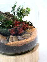 Load image into Gallery viewer, Wooden Based Medium Terrarium

